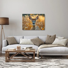 Sklenený obraz - Laň (70x50 cm)