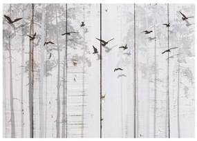 Artgeist Fototapeta - Birds on Boards Veľkosť: 150x105, Verzia: Premium