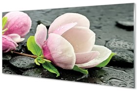 Sklenený obraz Magnolia kamene 100x50 cm