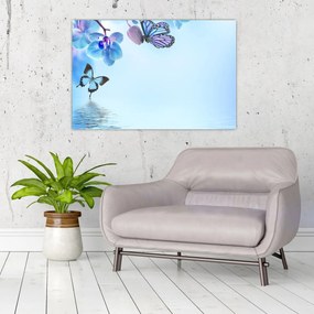 Obraz - Motýľ na kvetoch orchidey, modrý (90x60 cm)