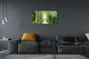 Obraz canvas Breza lesná cesta 140x70 cm