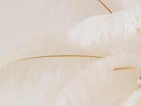 Feather Palm závesná lampa Ø87 cm biela