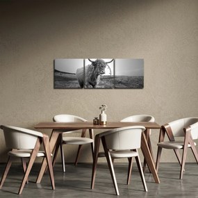Obraz - Škótska krava, čiernobiela (s hodinami) (90x30 cm)