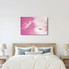 Obraz - Makro kvetu (90x60 cm)