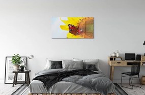 Sklenený obraz slnečnica motýľ 140x70 cm