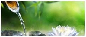 Obraz - Lotus (120x50 cm)
