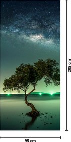 Fototapeta na dvere - Nočné nebo (95x205cm)