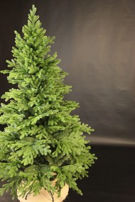 Smrek Tirolský 3D- 200cm