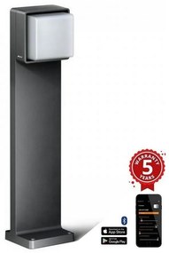 Steinel-LED Stmievateľná vonkajšia lampa so senzorom GL 85 SC 600 LED/9W/230V IP44