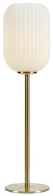 Markslöjd 108251 - Stolná lampa CAVA 1xE14/40W/230V zlatá