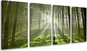 Obraz na stenu 4 dielny STROMY ST021E41