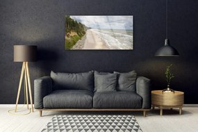 Obraz na akrylátovom skle Pláž more strom príroda 100x50 cm