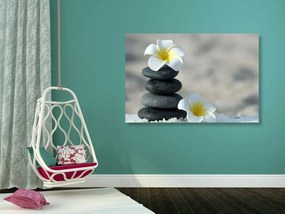Obraz harmonické kamene a kvet pluméria - 60x40