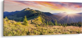 Obraz - Lesná krajina (120x50 cm)