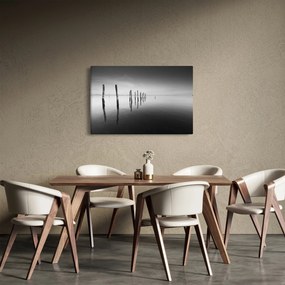 Obraz čiernobielej vodnej hladiny (90x60 cm)