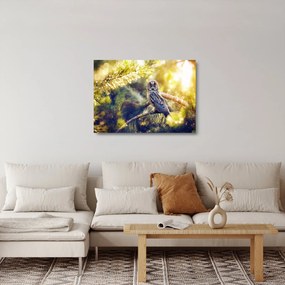 Sklenený obraz sovy na strome (70x50 cm)