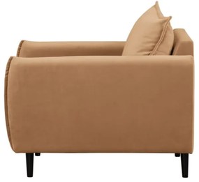 Hnedé zamatové kreslo Juli – Ropez