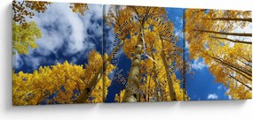 Obraz - Aspen (s hodinami) (90x30 cm)