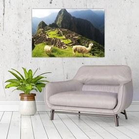 Obraz - Machu Picchu (90x60 cm)