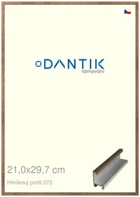 DANTIK rám na obraz 21x29,7 | ALU Dýha wenge (Sklo Čiré)