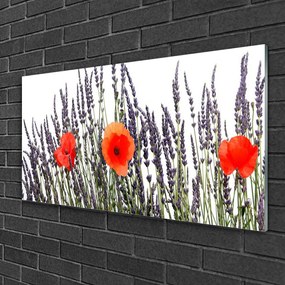 Skleneny obraz Kvety maky pole trávy 120x60 cm