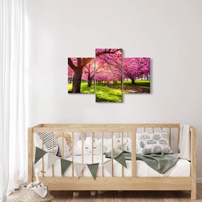 Obraz rozkvitnutých čerešní, Hurd Park, Dover, New Jersey (90x60 cm)