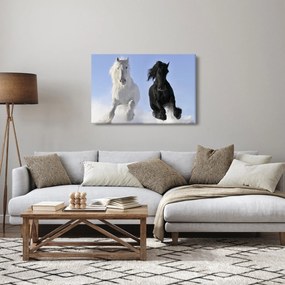 Obraz - Kone v zime (90x60 cm)