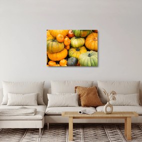 Sklenený obraz - Jesenná tekvica (70x50 cm)