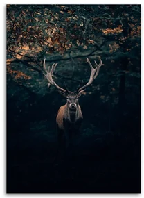 Gario Obraz na plátne Jeleň v kríkoch Rozmery: 70 x 100 cm