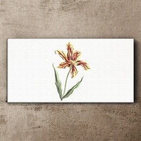 Obraz na plátne kvety rastlín