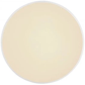 Globo 41586-18 - LED Stmievateľné stropné svietidlo SONNY LED/18W/230V + DO