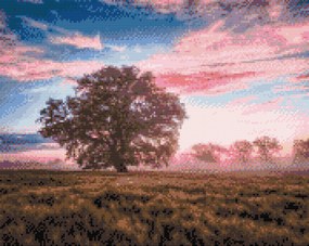 Gario Diamantové maľovanie Osamelý strom a červená obloha Rozmery: 50 x 40 cm, Rámovanie: Iba zrolované plátno, Diamanty: Štvorcové