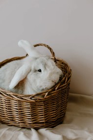 IB LAURSEN Nástenný košík s uchom Willow