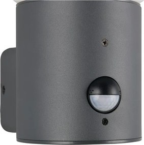 Nástenné vonkajšie svietidlo so senzorom pohybu ø 18 cm Mures – Trio