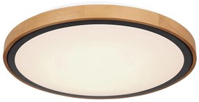 Globo 41764-24 - LED Stropné svietidlo BRUNO LED/24W/230V 437mm 3000/4500/6000K GL6750