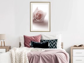 Artgeist Plagát - Rose Shadow [Poster] Veľkosť: 20x30, Verzia: Zlatý rám s passe-partout