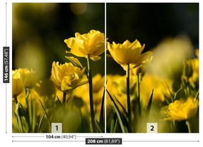 Fototapeta Vliesová Žltý tulipán 104x70 cm