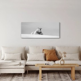Obraz - Ľadový medveď (120x50 cm)