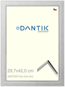 DANTIK rám na obraz 29,7x42 | SARTORI listy čílá (Plexi Čiré)
