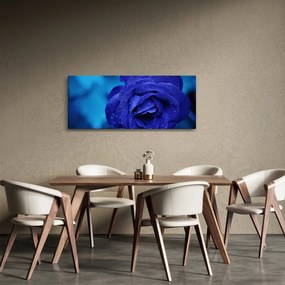 Obraz modrej ruže (120x50 cm)