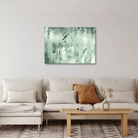 Obraz - Zelená lúka (70x50 cm)