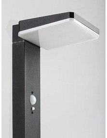 Rabalux 77079 - LED solárna vonkajšia lampa LASSET LED/4,4W/3,7V IP54 antracit