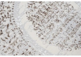 Kusový koberec Vekra krémový 200x300cm