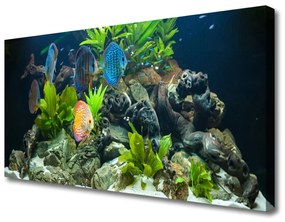 Obraz Canvas Ryba kamene listy príroda 140x70 cm