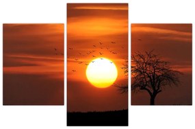 Obraz - Západ slnka (90x60 cm)