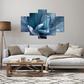 Obraz - Agáve (150x105 cm)