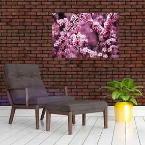 Obraz - Ružová sakura (90x60 cm)