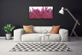 Obraz Canvas Kvety lúka príroda 140x70 cm