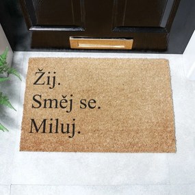 Rohožka z kokosového vlákna 40x60 cm Žij a Miluj – Artsy Doormats