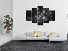 Obraz - Cottongrass na lúke (150x105 cm)